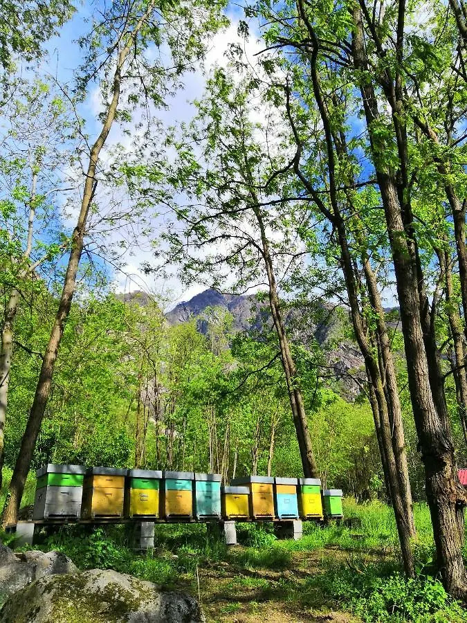 Agriturismo Val Codera Verceia 0*,