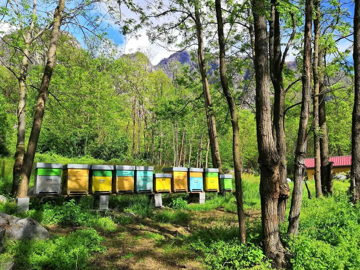 Agriturismo Val Codera Verceia Séjour à la ferme